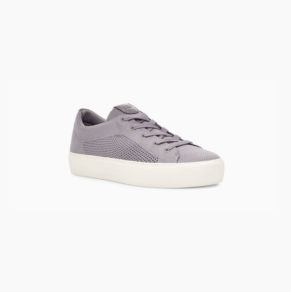 UGG Zilo Knit Navy Sneakers for Women (GFVS68513)